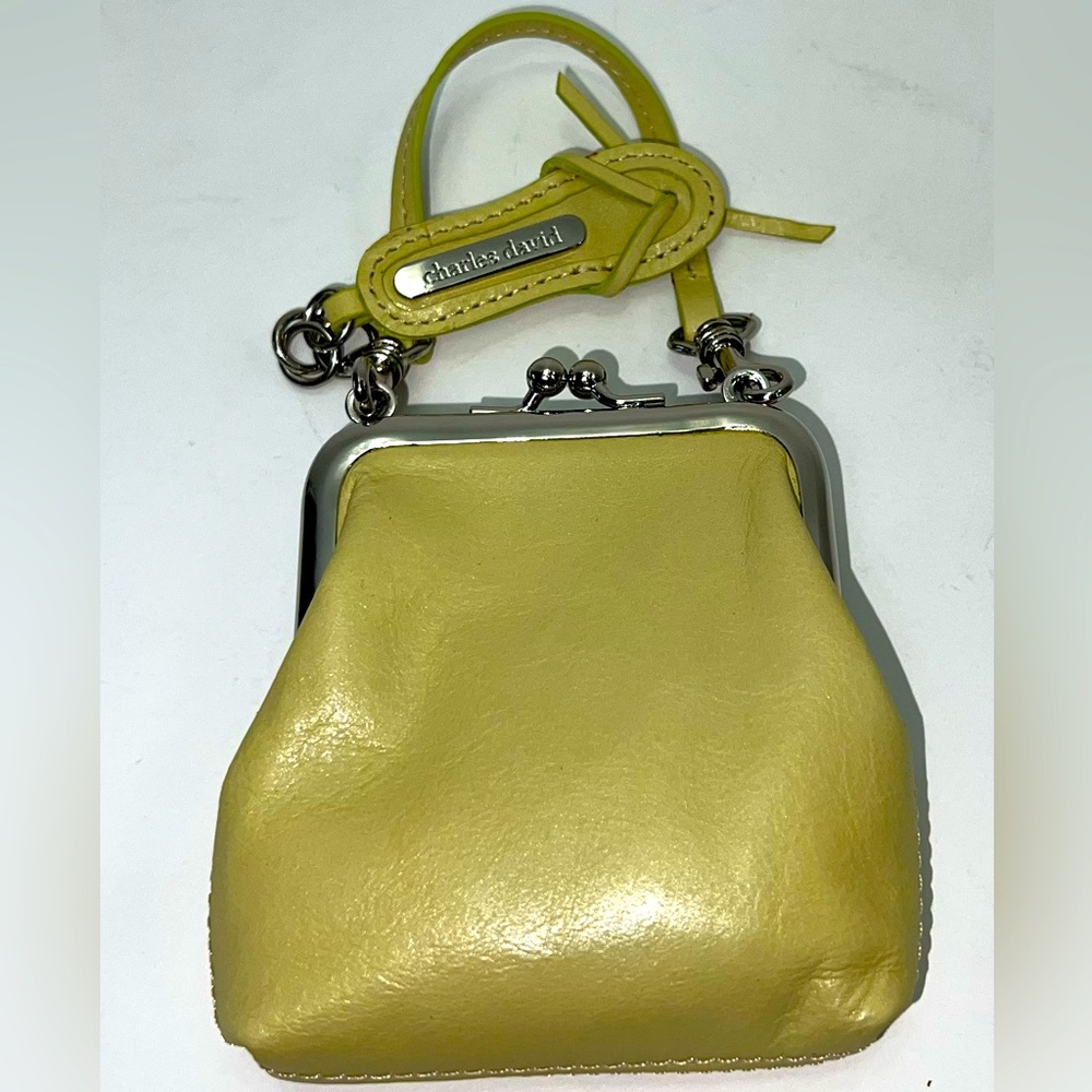 Beautiful greenish Charles David mini wallet